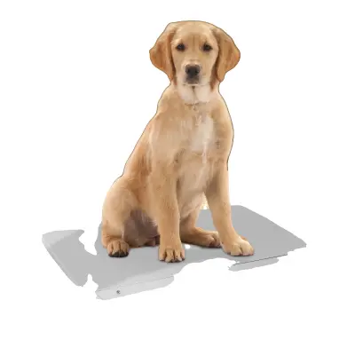 Digitalna tehtnica za živali, kapaciteta 660 lbs, dvojni načini tehtanja, uporabniku prijazna zasnova