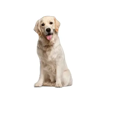 Digitalna tehtnica za hišne ljubljenčke, nerjaveče jeklo, največja kapaciteta 300 Kg, načini tehtanja kg/lb/oz, funkcija tare, LCD zaslon