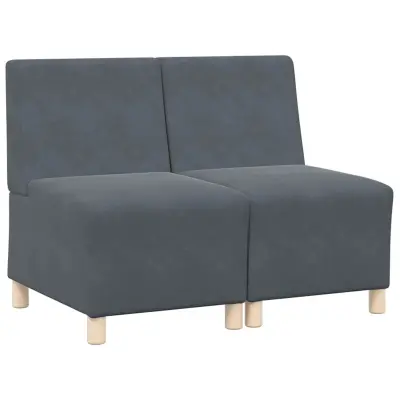 vidaXL Modularna sofa enota brez naslonov 2 pcs Temno siva