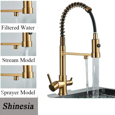 Kuhinjska pipa, filtrirana voda, medeninasta konstrukcija, brušeni zlat
