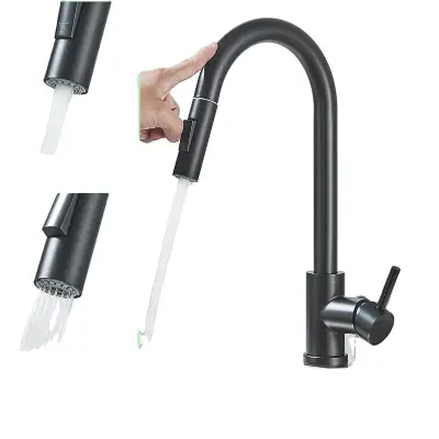 Pametni dotik senzor kuhinjska pipa, izvlečna šoba, enoročna zasnova, mat ?