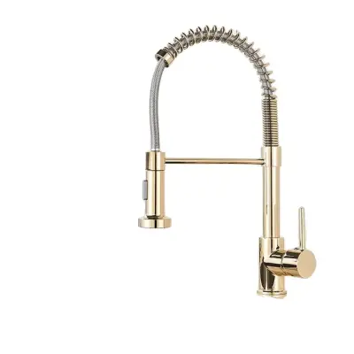 Kuhinjska pipa, brušen nikl, pipa z izvlečnim razpršilcem, Zl