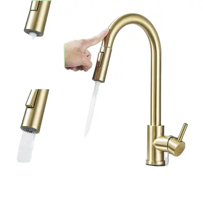 Pametni dotik senzor kuhinjska pipa, izvlečna šoba, enoročna zasnova, mat zl