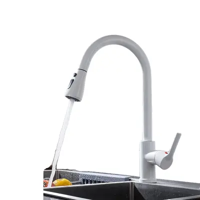Izvlečna kuhinjska pipa, vsestranski načini pršenja, konstrukcija iz nerjavečega jekla, CF04043WHWM