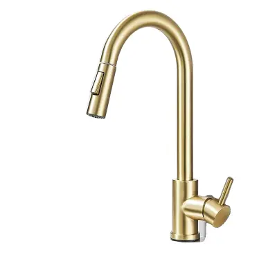 Izvlečna kuhinjska pipa, 360° rotacija, dvojni način vode, brušeno zlato