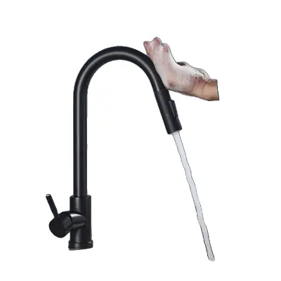 Kuhinjska pipa, izvlečna prha, montirana na pult, enoročna, č