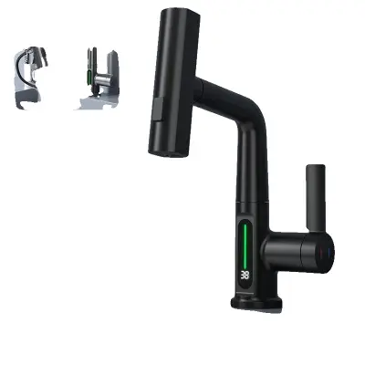 Kuhinjski pipa, digitalni prikaz temperature, izvlečna zasnova -Matte Black