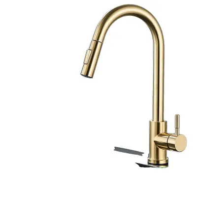 Kuhinjska pipa, 360° rotacija, izvlečna šoba, tip D brušeno zlato