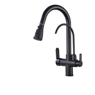 Kuhinjska armatura, filter za čisto vodo, 360-stopinjska rotacija - Mat črna
