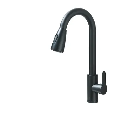 Kuhinjska pipa, potegni pršilnik, 360???Rotacija, mat črna