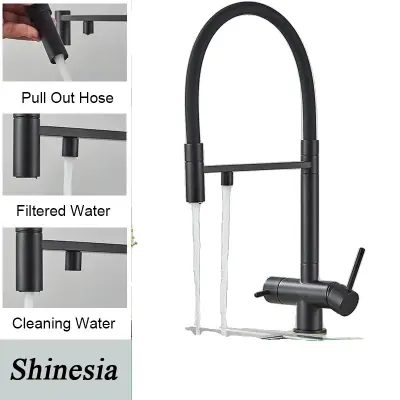 Kuhinjska pipa za filtrirano vodo, dvojna ročica, potegni pršilo, mat črn