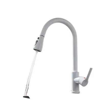 Kuhinjski pipa, izvlečna prha, sodoben dizajn -CF04043WHWM Bela