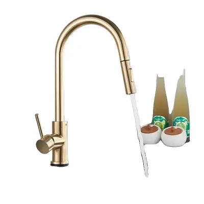 Kuhinjska pipa s potegljivo šobo, en ročaj, mesingova konstrukcija, brušena zlata