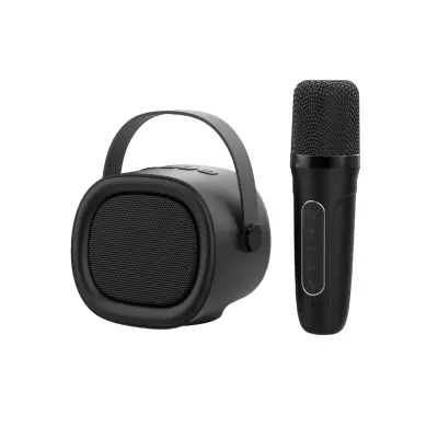 Prenosni Karaoke Bluetooth 5.3 Zvočnik z Brezžičnim Mikrofonom, HIFI Zvok Black