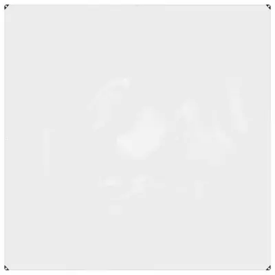 vidaXL Prozorna ponjava z očesci 2 x 2 m PVC