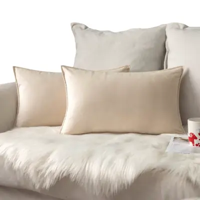 Žametni prevleki za blazine krem barve, 2 kosa, 30 x 50 cm, dekorativni komplet z obrobo in skrito zadrgo, mehak žamet