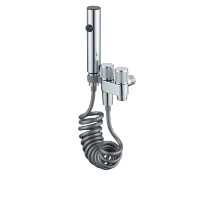 Stainless Steel Mini Toilet Companion – Dual Outlet Angle Valve Handheld Bidet Sprayer Silver