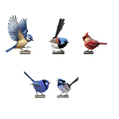 5-Delni Okraski za Zunanji Vrt - Barvite Kovinske Figurice Ptic