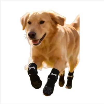 Nedrseče pasje nogavice z dvostranskim lepilom – Zaščita tačk in tal Black M