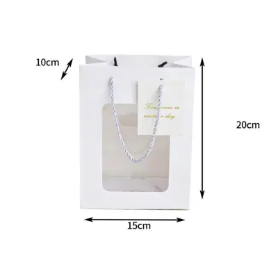 10 Kosov Pravokotne Bele Majhne Vrečke za Pakiranje Daril z Okencem