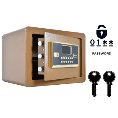 Domači sef z elektronsko ključavnico in ključem 25x35x25 cm, rjav, jeklena blagajna z alarmom in polico, Double Lock-25