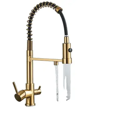 Filtrirna voda pipa, dvojna ročica, montirana na pult, brušeno zlato