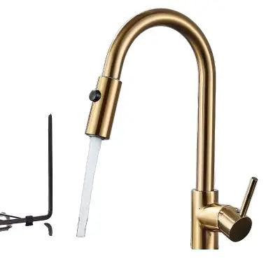 Kuhinjski pipa z nizkim tlakom, nerjaveče jeklo, 360-stopinjski vrtljiv, brušeni zlati DY A