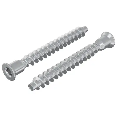 vidaXL Potrdilni vijaki 2 pcs srebrna Ø7 x 58 mm Kovina