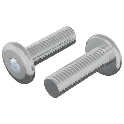 vidaXL Vijak 2 pcs srebrna 8 x 25 mm Jeklo