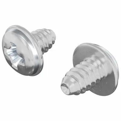 vidaXL Zaklepni vijaki 2 pcs srebrna M4 x 5 mm elezo