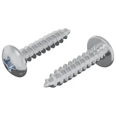 vidaXL Leseni vijaki 2 pcs srebrna M4 x 20 mm Jeklo