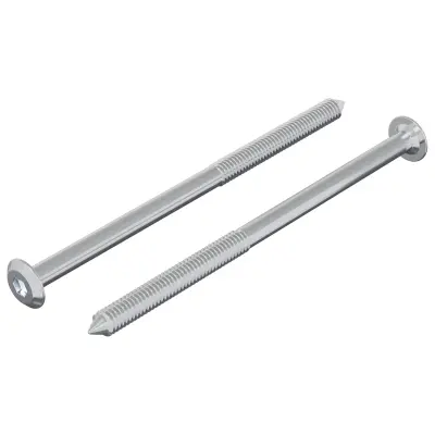 vidaXL Vijak 2 pcs srebrna M6 x 100 mm Jeklo