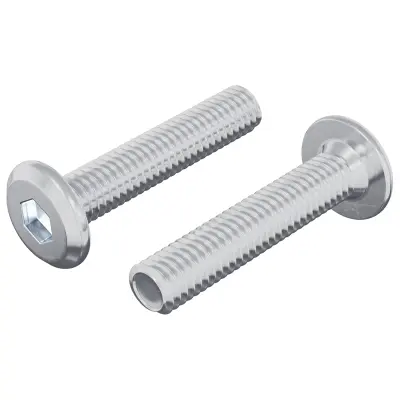 vidaXL Zaklepni vijak Enobarvno 2 pcs srebrna M6 x 30 mm Jeklo
