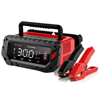 Polnilec akumulatorjev, podpira 6V/12V/24V, maks. 30A izhod, 12V 30A, EU Vtič