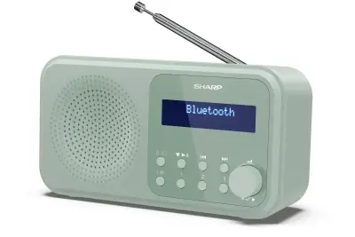 SHARP Prenosni DAB radio TOKYO DR-P420 GN