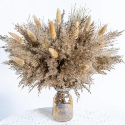 50 KOSOV Posušen Šopek Cvetja - Pampas Trava, Zajčji Repki, Trst za Dekor
