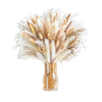 93 Stems Posušen Šopek Cvetja - Boho Pampas Trava & Zajčji Repki Aranžma