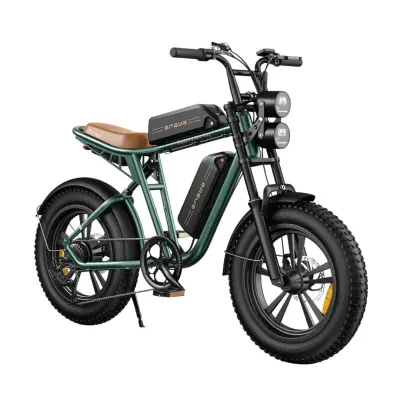 Električno kolo Engwe M20 Barva Vojaško zelena Baterija Dvojna baterija