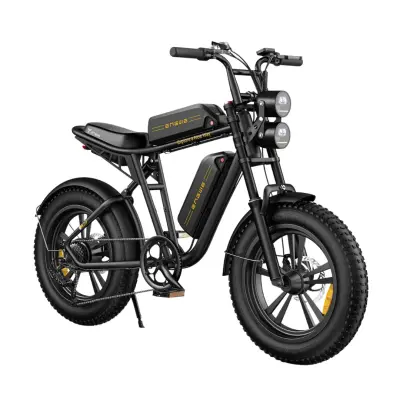 Električno kolo Engwe M20 Barva Črna Baterija Dvojna baterija