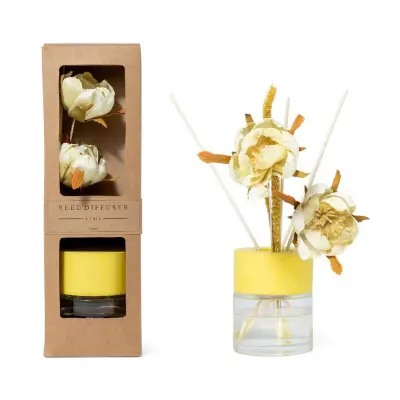 Osvežilec zraka Reed Diffuser 100ml+palčke / limeta / steklo, les