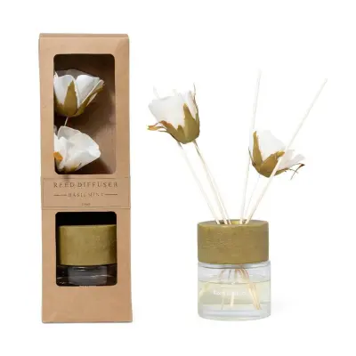Osvežilec zraka Reed Diffuser 100ml+palčke / bazilikina meta / steklo, les