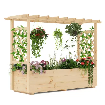 Rastlinjak z rešetko in nadstreškom za plezalne rastline Pergola