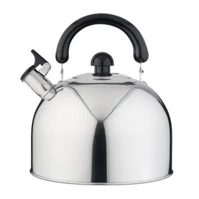 Čajnik z ročajem / 4l / indukcija / inox, pvc