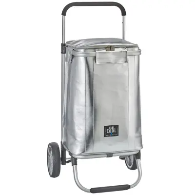 Nakupovalni voziček, hladilna torba Be Cool City 36l / srebrna / PU, epe