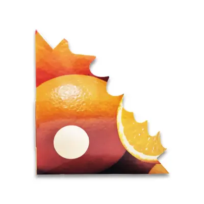 Trikotna lepljiva past za muhe, 2 kosa, močno lepilo za okenske kote