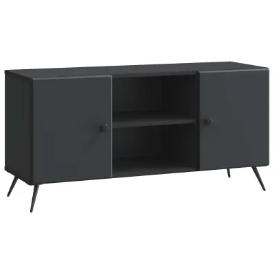 vidaXL TV omarica Črna 102 x 34,5 x 50 cm Inženirski les