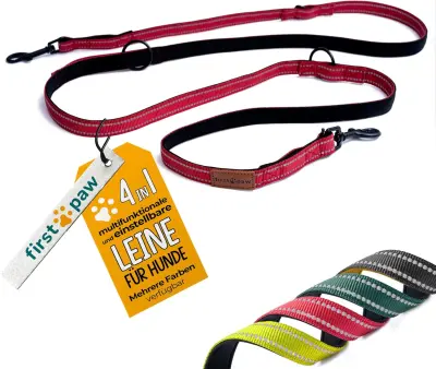 Povodec za pse FIRSTPAW, nastavljiv, oblazinjen, odseven, 2 m, rdeč – vsestranski povodec za trening, tek in dva psa