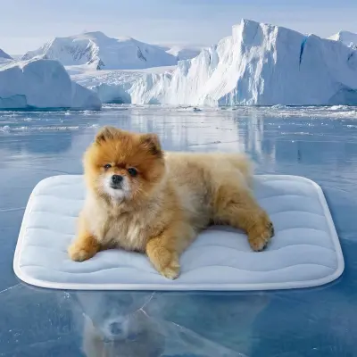 Podloga za hlajenje hišnih ljubljenčkov, pralna poliester Blue L