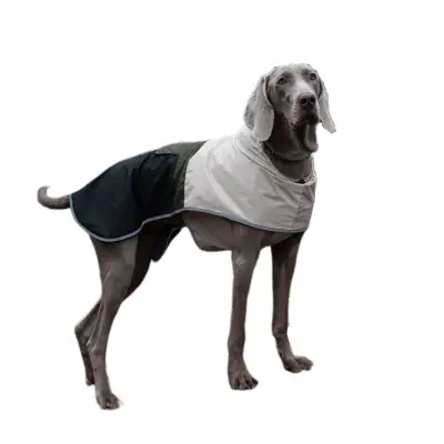 Spring Outdoor Large Dog Waterproof and Windproof Pet Raincoat Jacket  XL