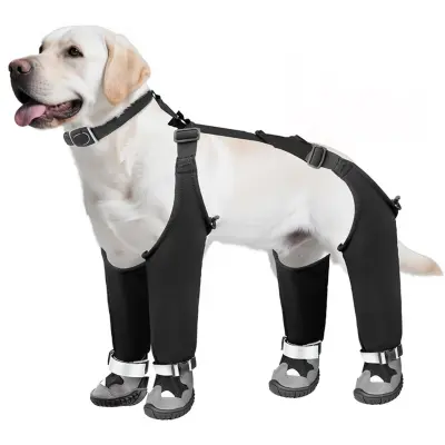 Strapped Pet Outdoor Shoes: Vodoodporni, nedrseči in topli pasji škornji  M